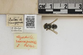 Media type: image;   Entomology 793876 Aspect: Labels